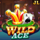 Wild Ace Stacey King slot